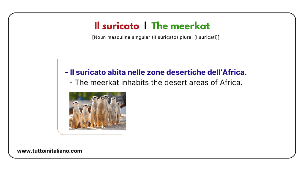 30-italian-vocab-words-animal-names-with-easy-examples-and-exercises
